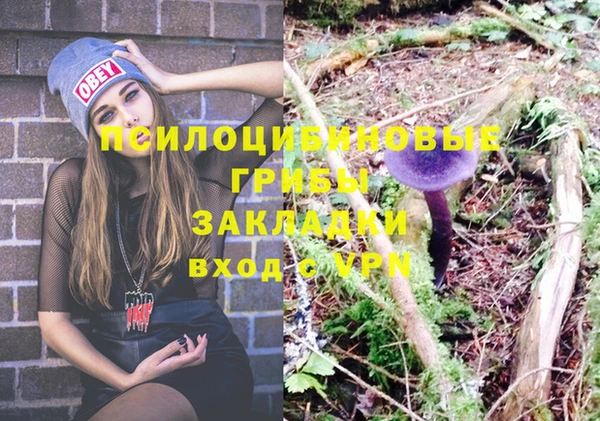 не бодяженный Абинск