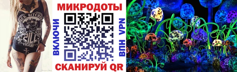 Псилоцибиновые грибы прущие грибы  Шилка 