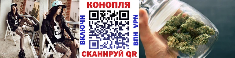 Канабис ГИДРОПОН  закладка  Шилка 